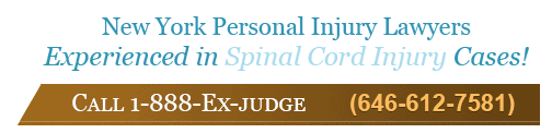 experienced spinal cord text