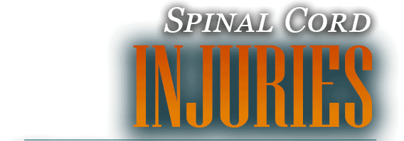 spinal cord slide text